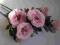 Artkuc Kwiaty Róża "Rosa Galica"