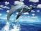 Delfin Delfiny plakat trójwymiarowy 3D - 42x29,7cm