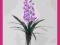SZTUCZNE DRZEWKO sztuczny kwiat ORCHIDEA 130cm