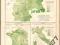 NIEMCY - PRZESTĘPCZOŚĆ stara mapa z 1897 roku