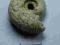 Naturalny Surowy Amonit    2612d