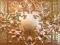 AA30B  JAY Z KANYE WEST WATCH THE THRONE (CD)
