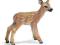 SCHLEICH JELONEK new 2010