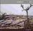 Soundcheck III - Druglum CD(FOLIA) Digipack ######