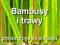Bambusy i Trawy. Prosta droga do sukcesu. J. Ardle