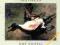 DOLOREAN - NOT EXOTIC [CD] NÓWKA Z ANGLII