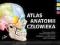 Atlas anatomii człowieka Nettera wyd. 3 F. Netter