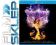 Deep Purple Phoenix Rising Blu Ray, sklep Wawa 24h