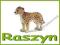 SCHLEICH 14327 MŁODY GEPARD RASZYN