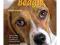 Training Your Beagle