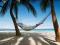 Plaża, palmy, hamak, ocean - plakat 91,5x61cm