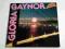 Gloria Gaynor - Same ( Lp ) Super Stan