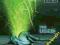 THE USED - BERTH CD+DVD