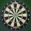 TARCZA DO DARTA WINMAU DARTS HOME