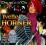 2 CD Yvette Horner Double d'or Akordeon Folia
