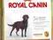 Royal Canin, Labrador Adult Sterilised - 3kg.