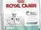 ROYAL CANIN MINI Starter - 1kg.