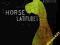 JEFFREY FOUCAULT - HORSE LATITUDES [CD] NOWA