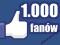 1000 Lubię to FANÓW fanpage FACEBOOK 48h od FIRMY