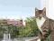 Trixie siatka ochronna dla kota 2 x 3 m na balkon