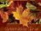 Jesień liścia Jasia - opowieść i życiu dla małych