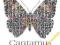 CANTAMUS GIRLS CHOIR - CANTAMUS [CD] NOWA Z UK
