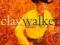 CD Clay Walker Rumor Has It Country Folia