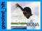 RICHARD BONA: MUNIA THE TALE (CD)