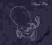 SIGUR ROS - AGAETIS BYRJUN /CD/ od SS