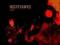 NIGHTHAWKS - TODAY (PL) /CD/ (A.M. Jopek) od SS