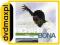 dvdmaxpl RICHARD BONA: MUNIA THE TALE (CD)