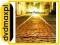 dvdmaxpl JOHN PATITUCCI: LINE BY LINE (CD)