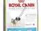 Royal Canin Shih Tzu Junior 0,5kg