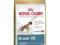 Royal Canin Boxer 26 Adult 12kg