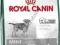 Royal Canin Mini Sterilised po sterylizacji 1,5kg