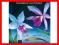 Love Island - Deodato Eumir [nowa]