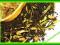Herbata Czarna Ceylon Earl Grey Z Pomarańczą (50g)