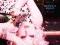 AA76B  CYNDI LAUPER MEMPHIS BLUES 13 UTWOROW (CD)