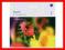 Eight Symphonies - Concerto K?ln [nowa]