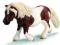 SCHLEICH KUCYK RASY SHETLAND