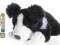 Maskotka PIES szczeniak BORDER COLLIE 25cm /4055/