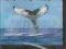 Ocean Wieloryby Giganty Głębin DVD