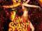 Om Shanti Om - wydanie limitowane - Indiabox [DVD]