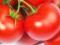 PROVENDA proszek pomidorowy, pomidor w proszku 1kg