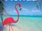 FLORYDA USA Lonely Planet Florida