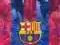 FC BARCELONA DVD