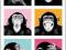 THE CHIMP - CHIMPS POP ART - plakat 61x92cm!!!