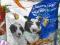 KARMA DLA PSÓW PURINA Z NIEMIEC 1.5 KG
