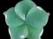 Kwiat z Zielonego Awenturynu - 41 x 10 mm!!!