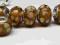 KORALIK MODUŁOWY LAMPWORK BEANSOLETKA LOGO925 N112